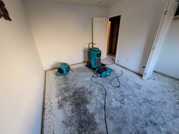 Best Ceiling water damage repair  in Monticello, IA