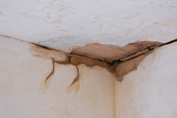 Best Sewage cleanup and water damage restoration  in Monticello, IA