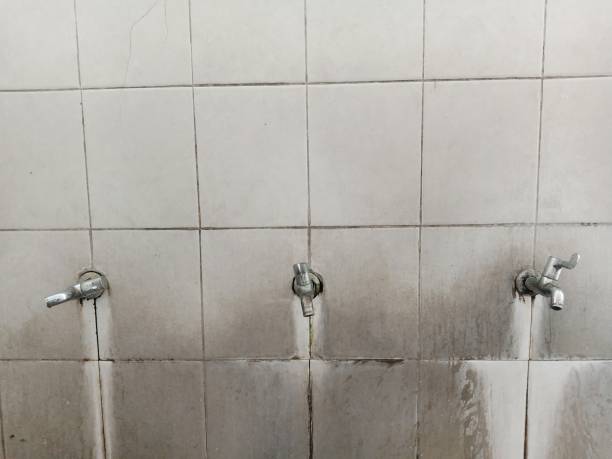 Best Flood damage cleanup  in Monticello, IA