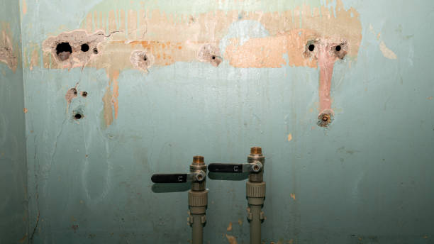 Best Emergency water extraction  in Monticello, IA
